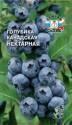 Голубика Канадская нектарная Сед