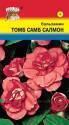 Бальзамин Том Самб салмон УУ