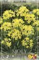 Аллиум Моли 5/ 