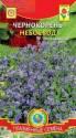 Чернокорень Небосвод Плз