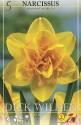 Нарцисс Дик Вилден махровый 60 шт 14/16
