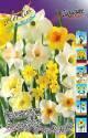 Нарцисс Спектрум Фрагрант Смесь 45 дней 12/14 75 шт 