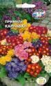 Примула Карнавал смесь Сед