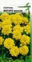Георгина Фигаро желтая ССО