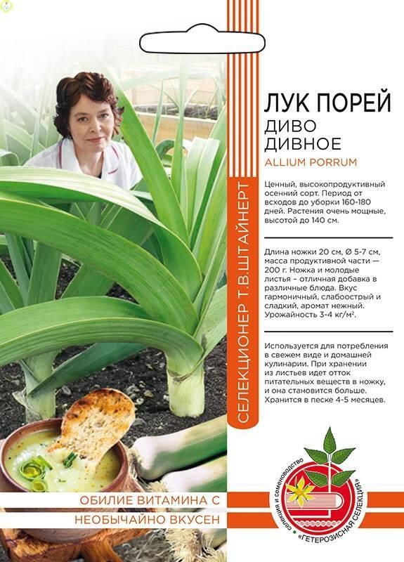 Лук порей Диво дивное Б/Ф УД