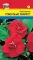 Бальзамин Том Самб Скарлет УУ