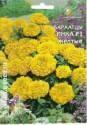Бархатцы Инка F1 желтые ССО
