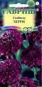 Скабиоза Черри пурпурная Гав