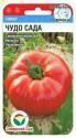 Томат Чудо сада СС