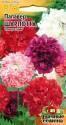 Папавер пионовидный Шарлотта УС Гав