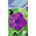 Петуния Лимбо Виолет Акв