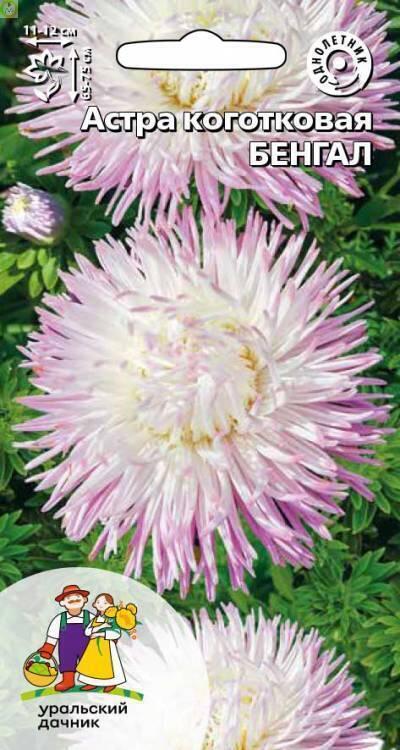 Астра Бенгал УД