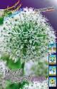 Лук декор. Allium Mount Everest 16/18 20 шт