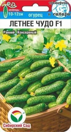 Огурец Летнее чудо СС