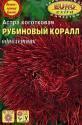 Астра Коралл рубиновый Аэл