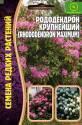 Рододендрон крупнейший Реш