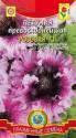 Петуния Превосходнейшая розовая F1 Плз