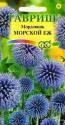 Мордовник Морской еж Гав