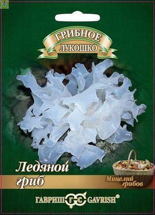 Ледяной гриб Тремелла на древесной палочке Гав