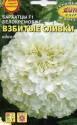 Бархатцы Взбитые сливки б/п Аэл