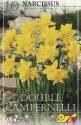 Нарцисс Дабл Кемпирнелли10/