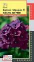 Вербена Кварц Пурпл F1(серия Quartz XP) Плз