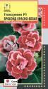 Глоксиния Брокэйд красно-белая F1 Плз