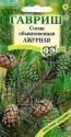 Сосна Ажурная обыкновенная Гав