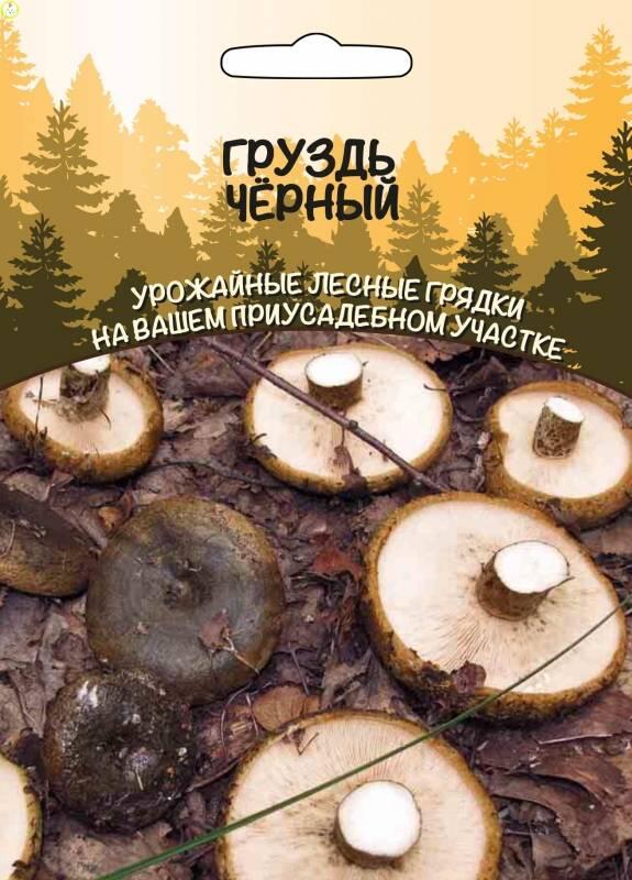 Грибы Груздь Чёрный 30 мл УД