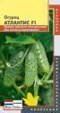 Огурец Атлантис F1 Плз