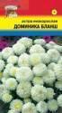 Астра Доминика Бланш УУ