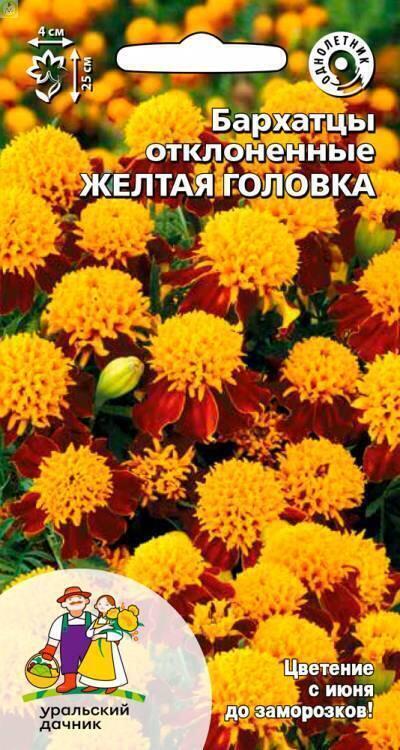 Бархатцы Желтая головка УД
