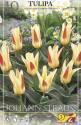 Тюльпан Иоганн Штраусс кауфмана 10 шт 11/12