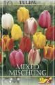 Тюльпан Смесь дарвиновых гибридов 8 шт 11/12