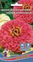 Цинния Волшебная роза УД