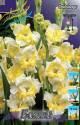 Гладиолус Багги 10/12 100 шт 