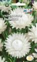 Гелихризум Льдинка белоснежный Сед