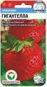 Клубника Гигантелла СС