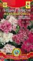 Гвоздика перистая Махровая смесь Плз