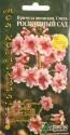 Примула Роскошный сад японская смесь Агр