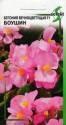 Бегония Боушин вечноцветущая F1 ССО