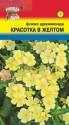 Флокс Красотка в жёлтом УУ