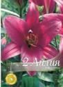 Лилия Парпл Принц О.Т гибриды 60 шт 12/14