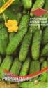 Огурец Миранда F1 ССО