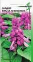 Сальвия Виста лавандовая ССО