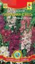 Вербаскум (Коровяк) гибридная смесь Плз