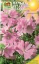 Мальва Розовая многолетняя Наш