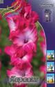 Гладиолус Караоке 8 шт 