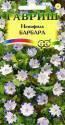 Немофила Барбара пятнистая Гав