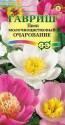 Пион Очарование молочноцветковый Гав